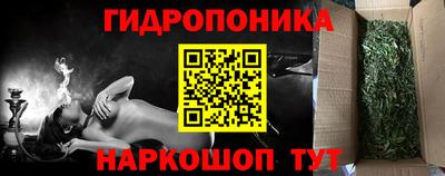 дмт Гусев