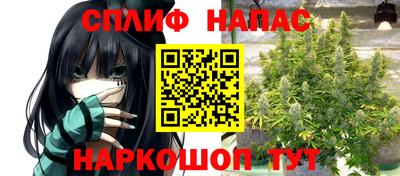 мяу мяу мука Гусь-Хрустальный
