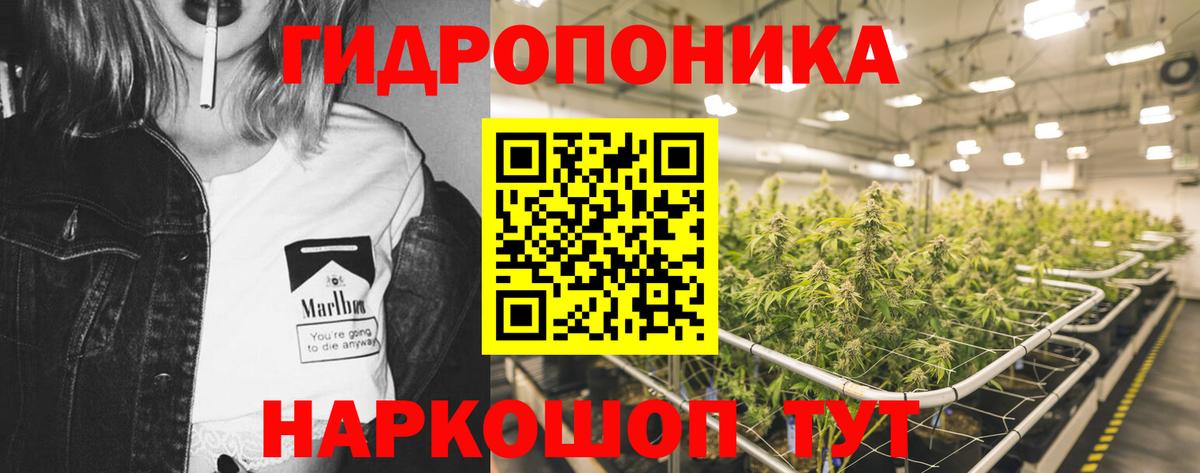 Бошки марихуана AK-47  Канабис SATIVA & INDICA  Лесосибирск  Вход с VPN  Канабис SATIVA & INDICA  Конопля MAZAR 